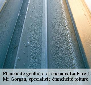etancheite-gouttiere-et-chenaux
