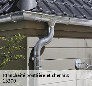 etancheite-gouttiere-et-chenaux