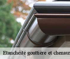 etancheite-gouttiere-et-chenaux