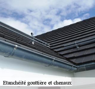 etancheite-gouttiere-et-chenaux