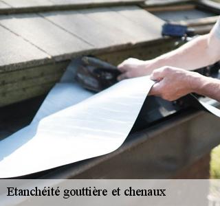 etancheite-gouttiere-et-chenaux