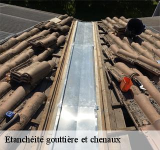 etancheite-gouttiere-et-chenaux