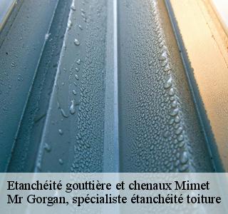 etancheite-gouttiere-et-chenaux