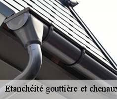 etancheite-gouttiere-et-chenaux