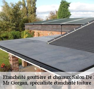 etancheite-gouttiere-et-chenaux