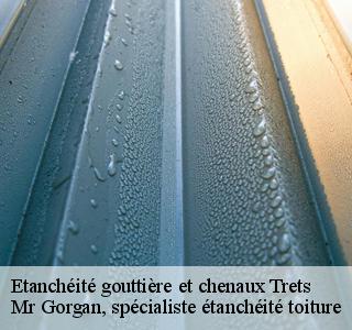 etancheite-gouttiere-et-chenaux