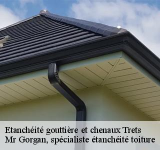 etancheite-gouttiere-et-chenaux
