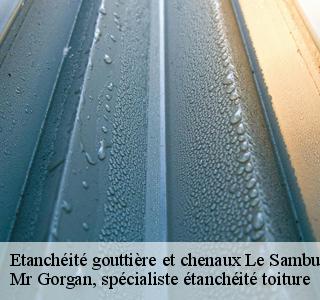 etancheite-gouttiere-et-chenaux