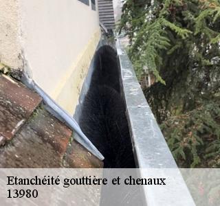 etancheite-gouttiere-et-chenaux