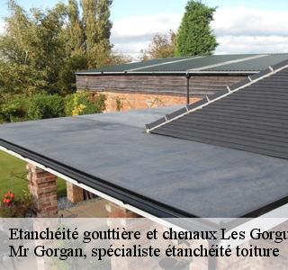 etancheite-gouttiere-et-chenaux