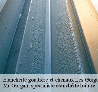 etancheite-gouttiere-et-chenaux