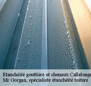 etancheite-gouttiere-et-chenaux