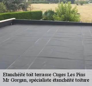 etancheite-toit-terrasse