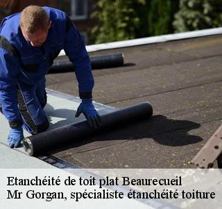 etancheite-de-toit-plat