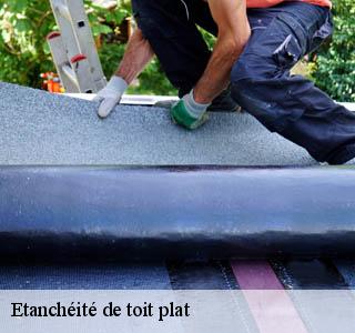 etancheite-de-toit-plat