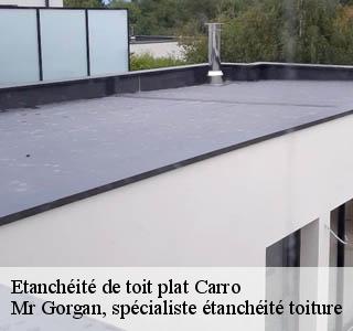 etancheite-de-toit-plat