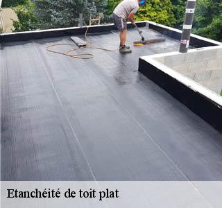 etancheite-de-toit-plat