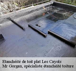 etancheite-de-toit-plat