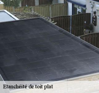 etancheite-de-toit-plat