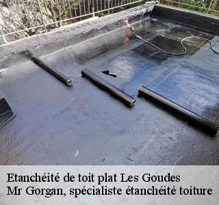 etancheite-de-toit-plat