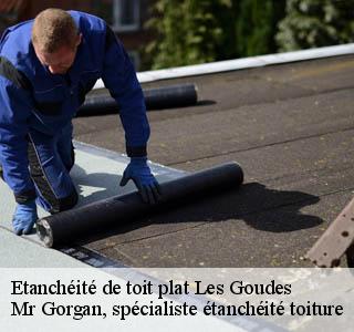 etancheite-de-toit-plat